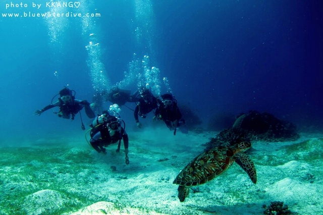 김미란현우정우맘