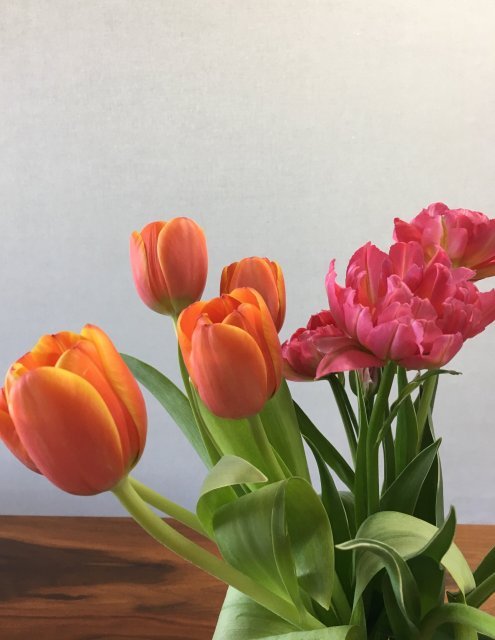 인욱인성인창맘