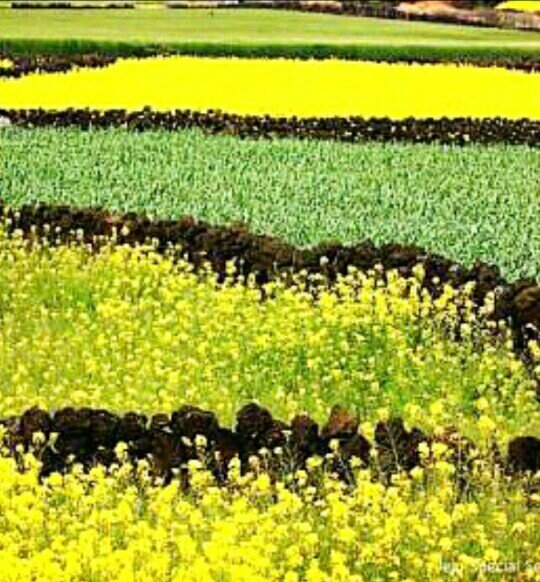 임인숙레지나평화는나로부터시작된다