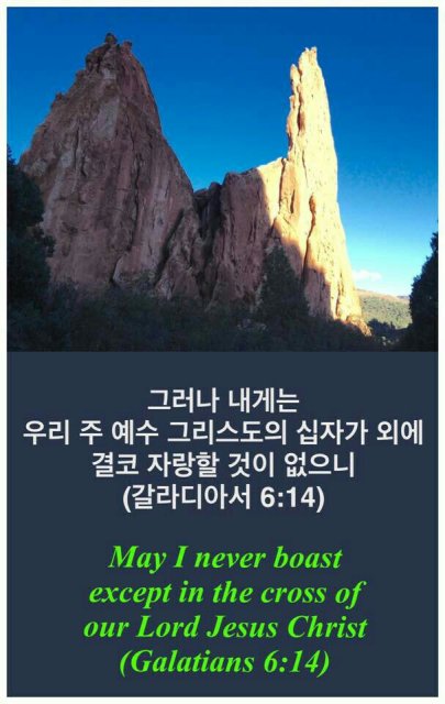 김선자자라는모