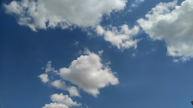와이