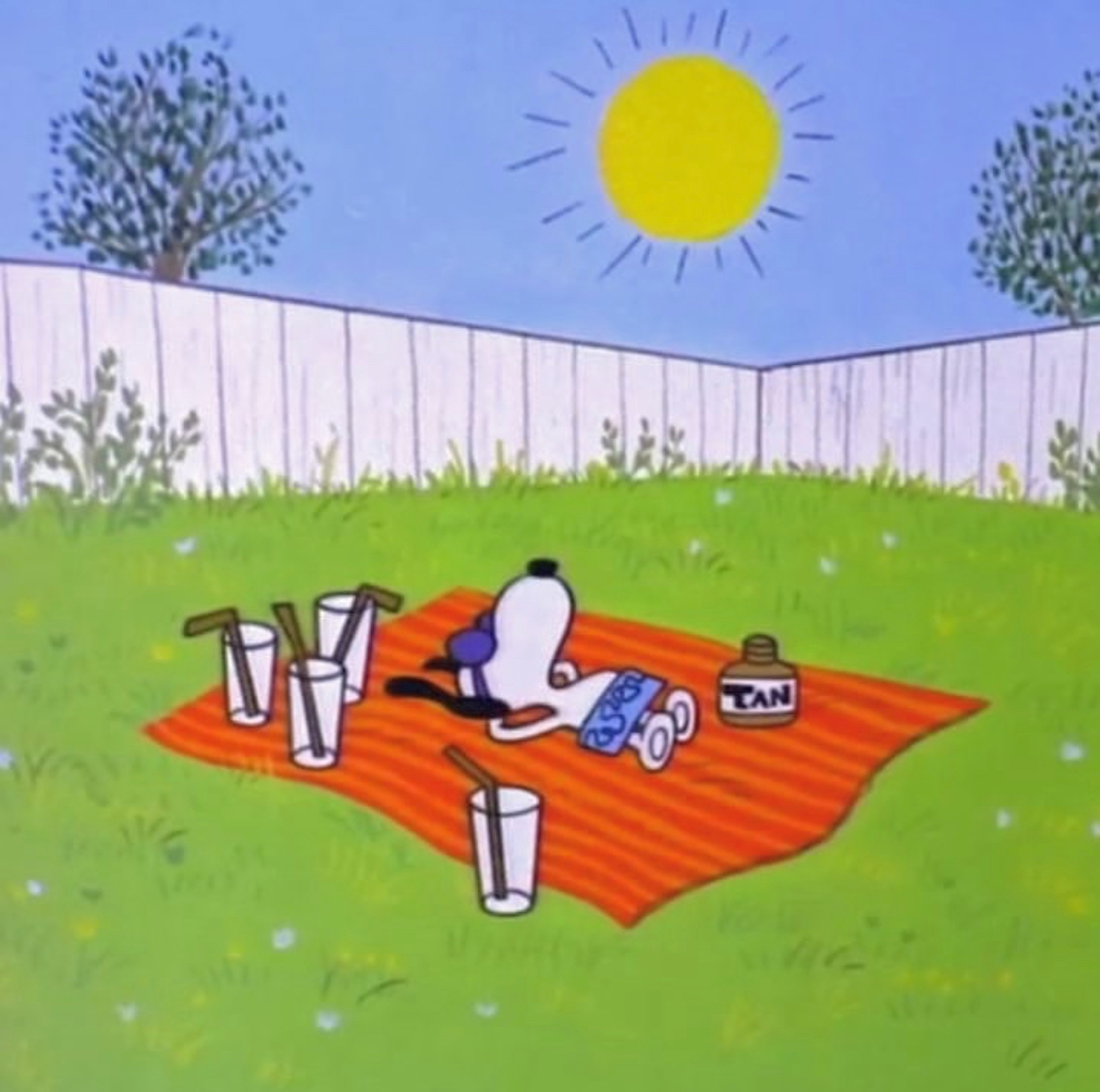 의대생이 아닙니다