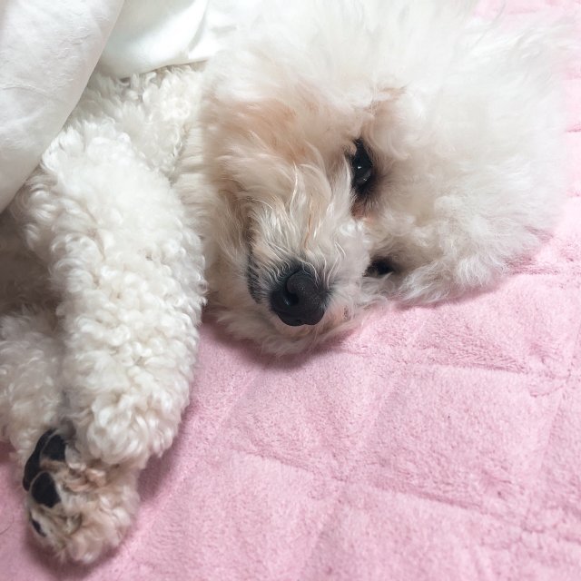 깊은 때론 얕은