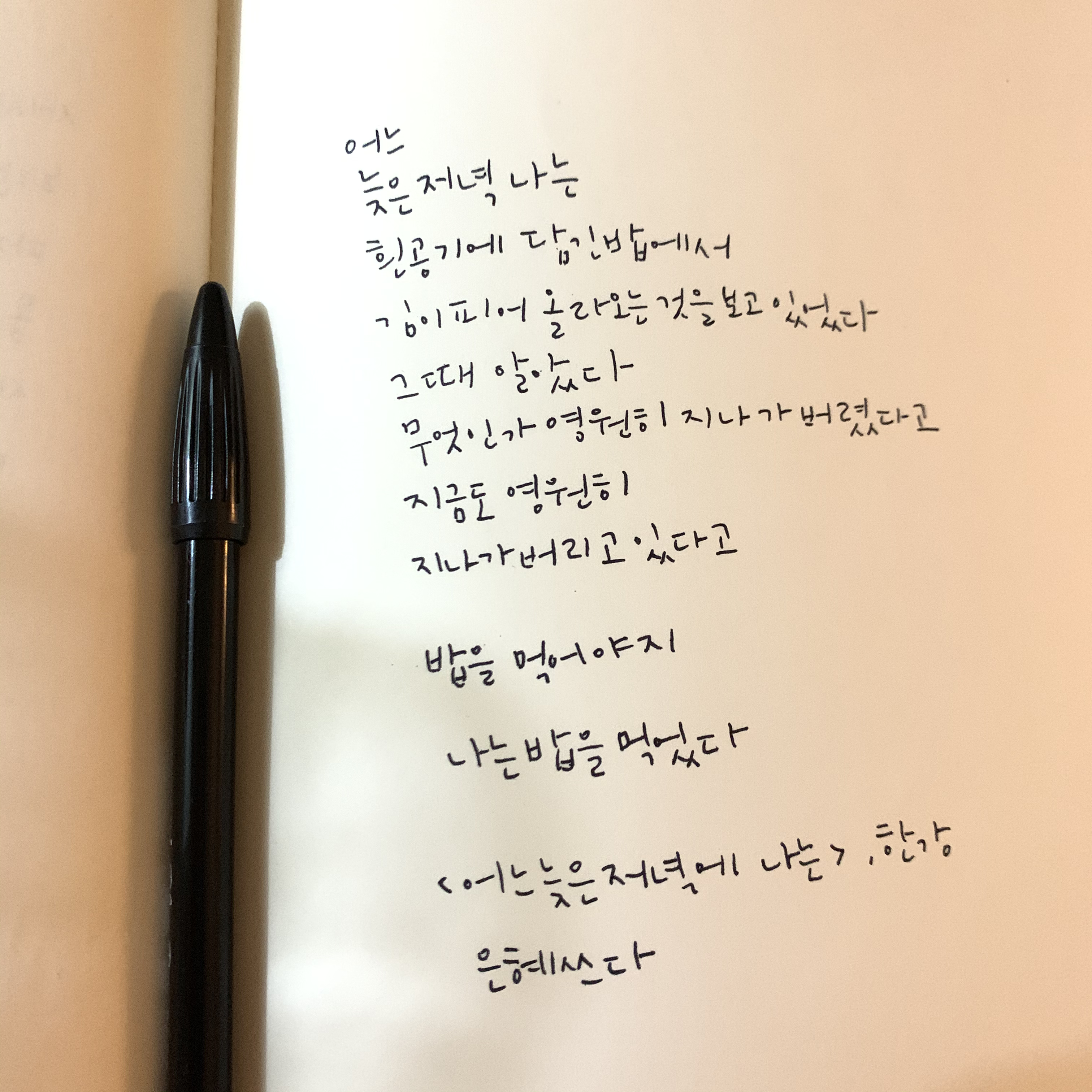 [하루 한 편 시 필사] 어느 늦은 저녁에 나는