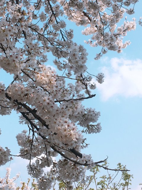 혜선