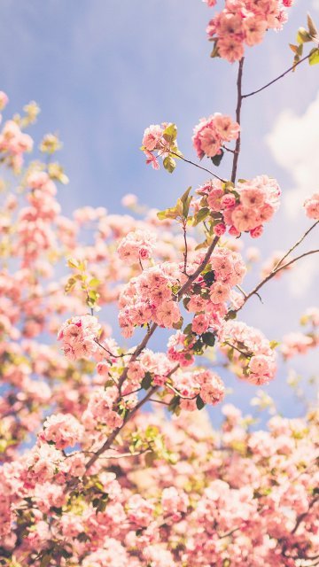 공주크팡뿐예다아꽃봄공주예뼈니가뿐예예뿐