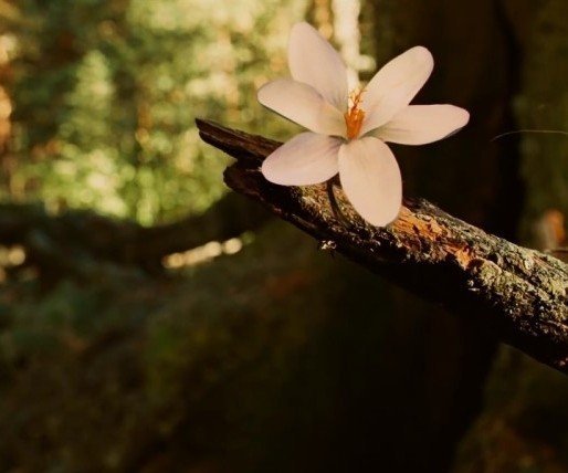 오경석 대건안드레아