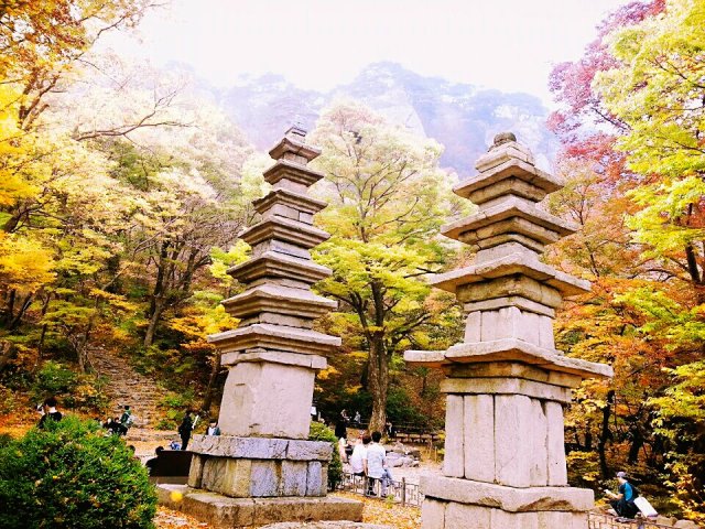 발효인생 뽈레 뽈레