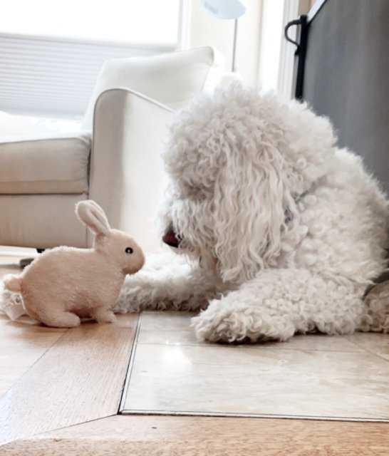 김성현 승아승민맘