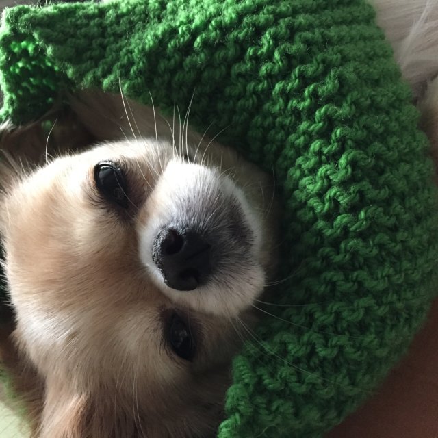 이른 아침을 먹던 여름