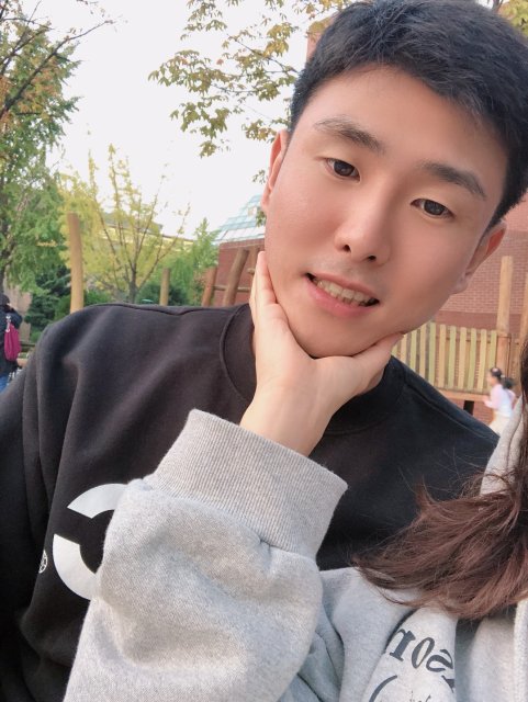 고삐 풀린 망아지