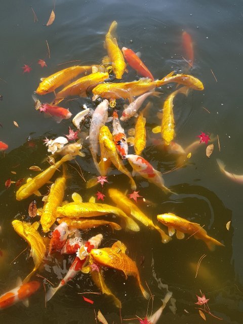 느그남편 바람펴도용서해라 임원이니까