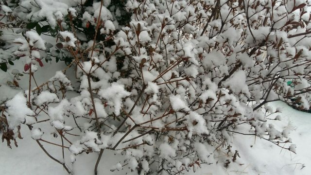 문정란 대니써니