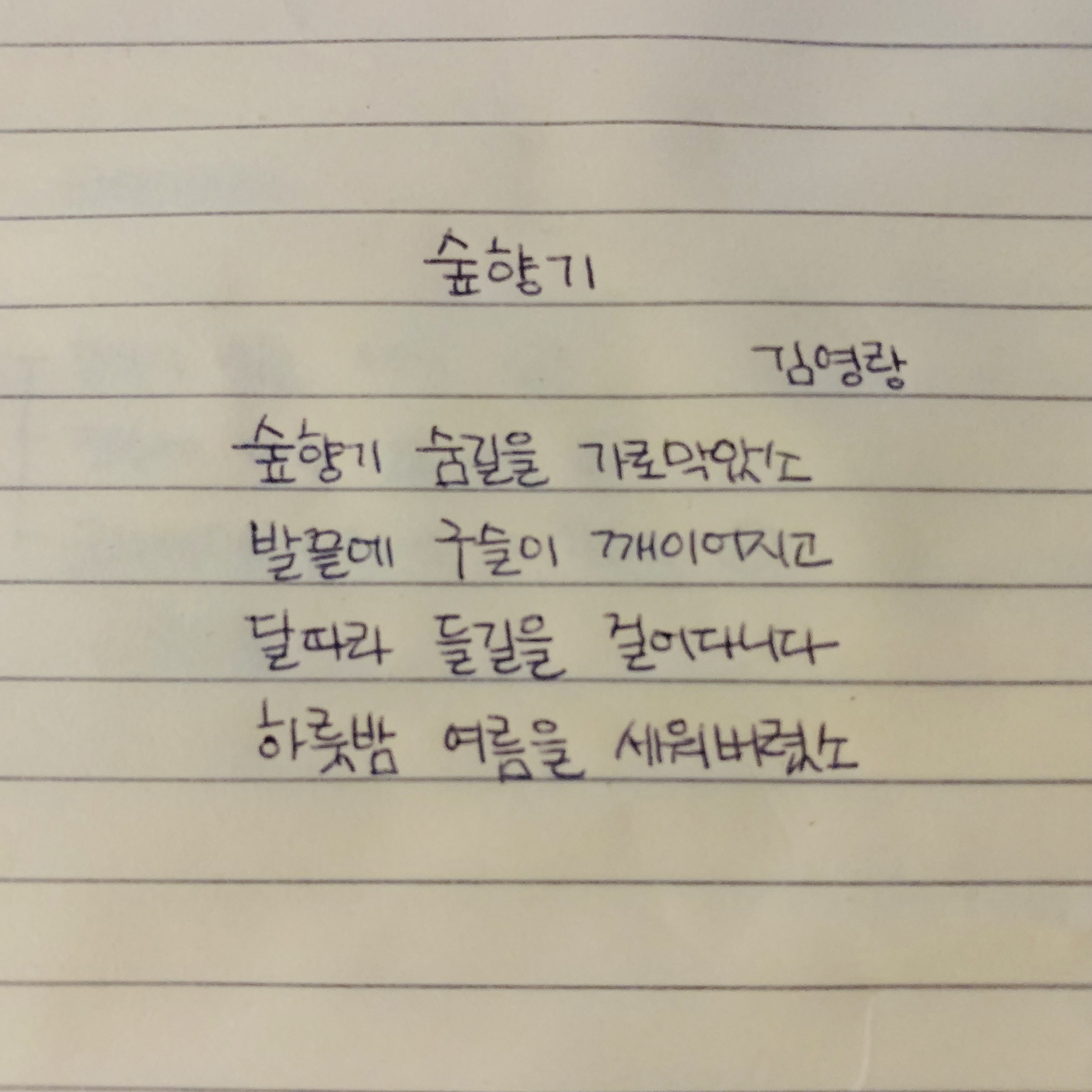 05.27 | 숲향기