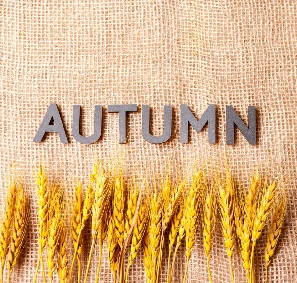 경기도의료원파주병원어린이집