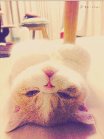 딸기바나나우유