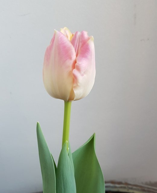 배기현승현맘 문종숙