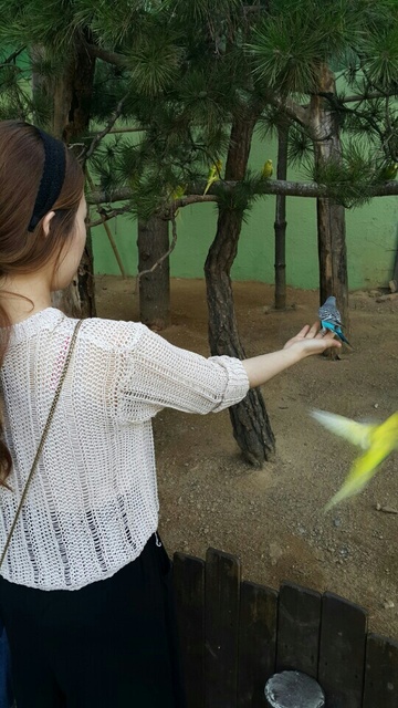 이혜림