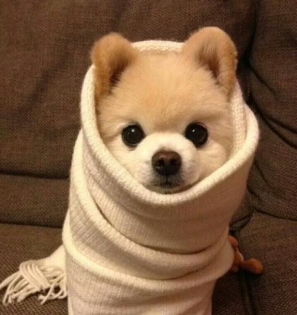 서준영
