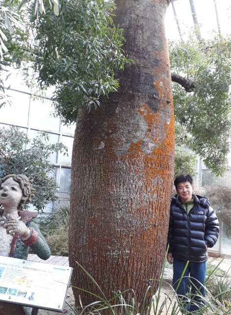 이기엽