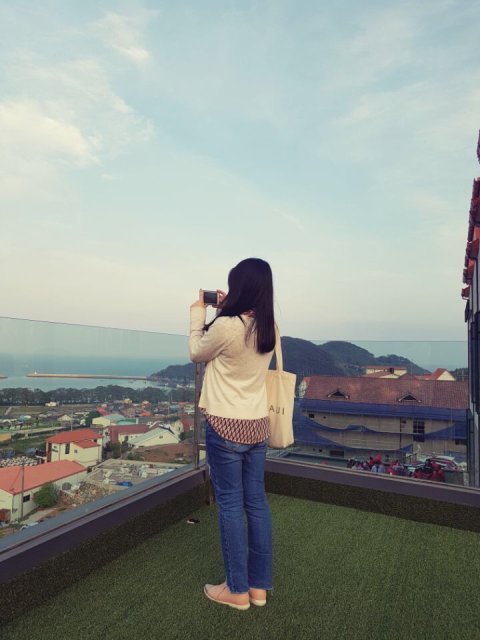 달빛아래고양이