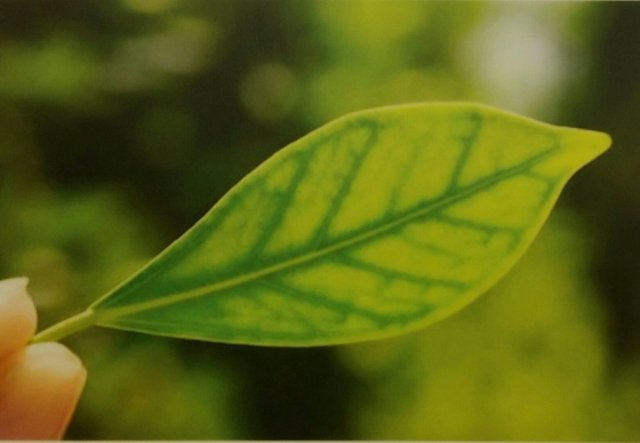 에이치Lab 대체의학 체형교정