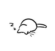 보현
