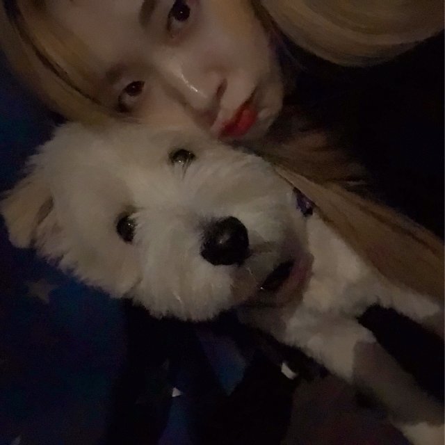 편나영