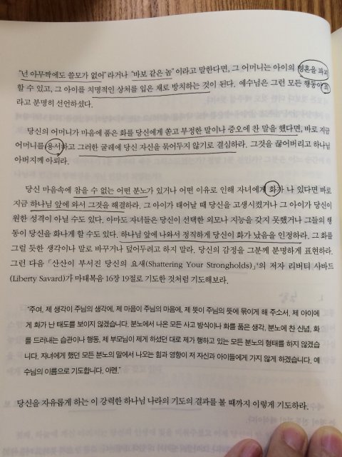 황초롱
