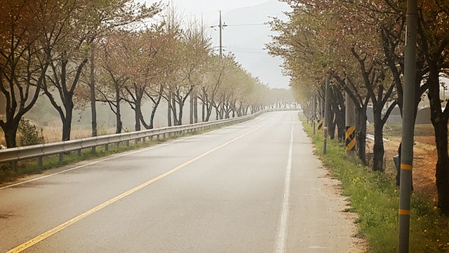 일신우일신호시우보