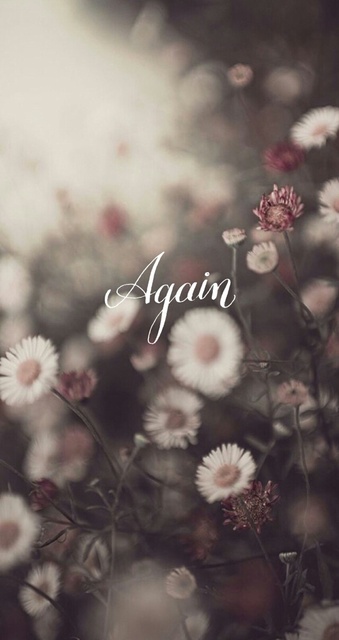 반짝반짝 빛나는