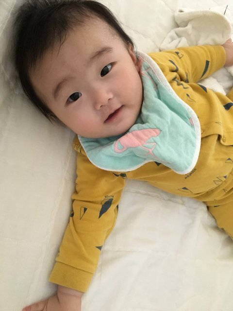 푸른감람나무