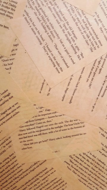 술취한 라따뚜이