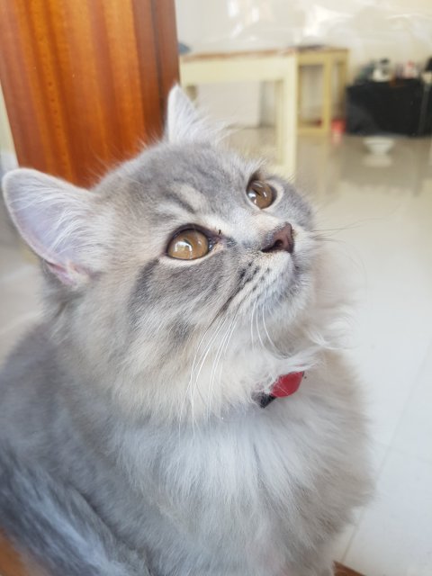 오준석