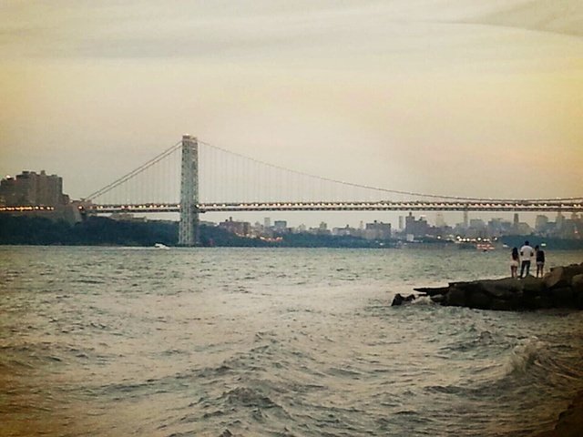 바람에 흔들리는 나뭇잎