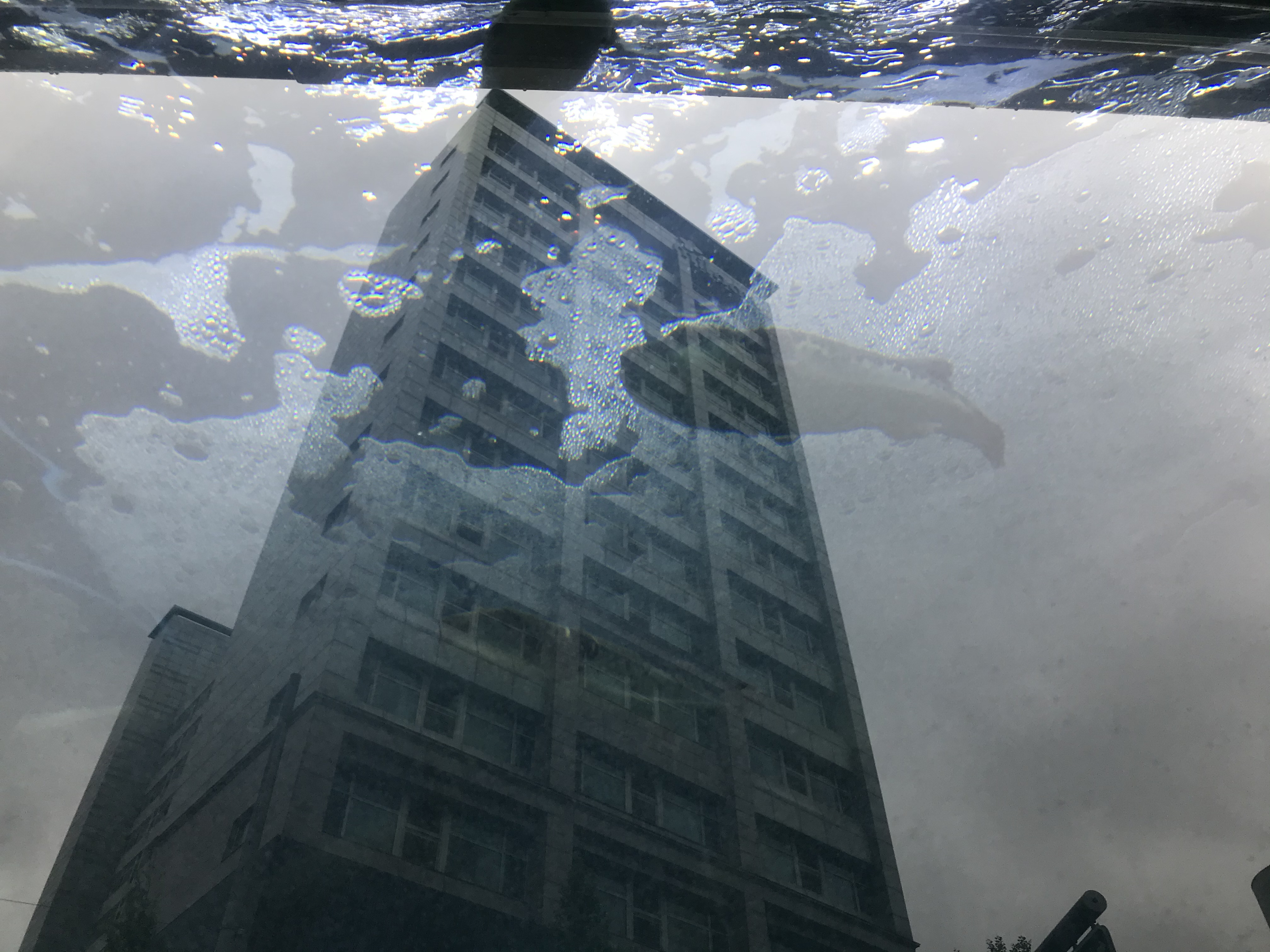 조경하는 안성순입니다