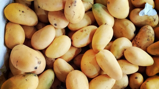 스윙칩 과 맛동산