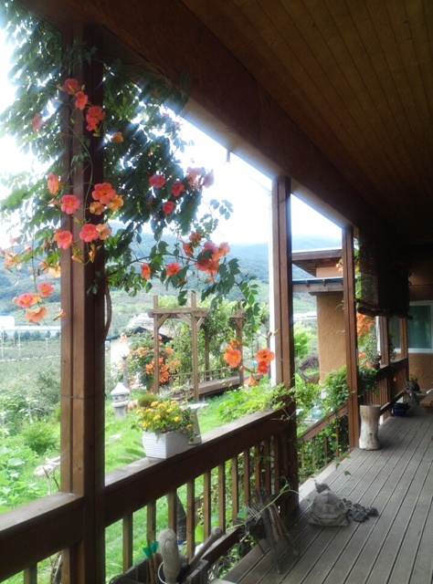 오직 모를뿐문효선