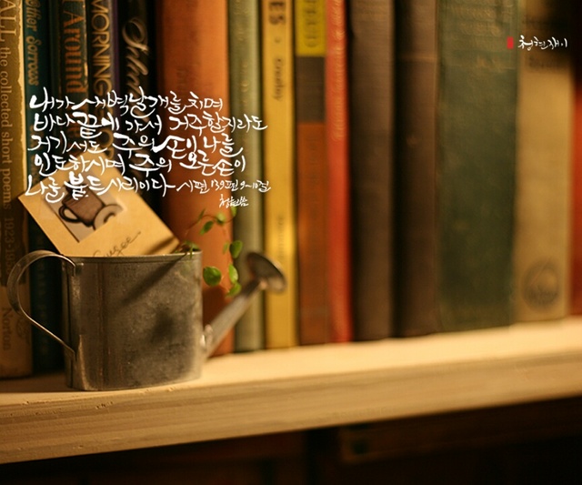 노신영