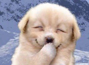 푸른하늘의 파수꾼