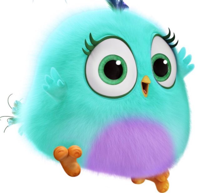 겨울이 오고 있다