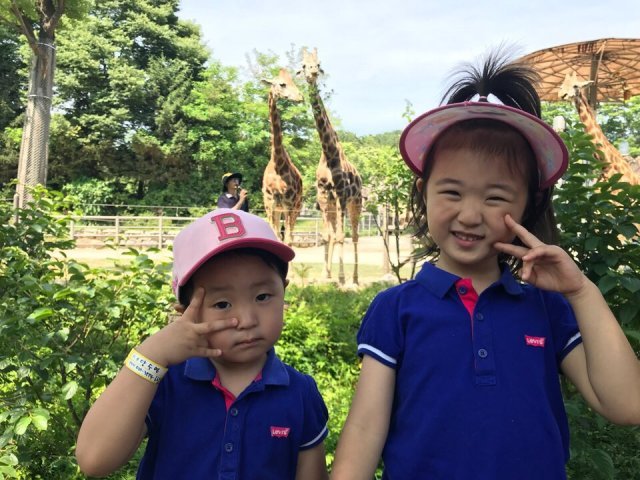 인숙 수아수연수영 맘