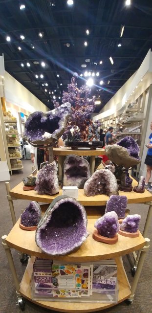 이 숙희 안젤라