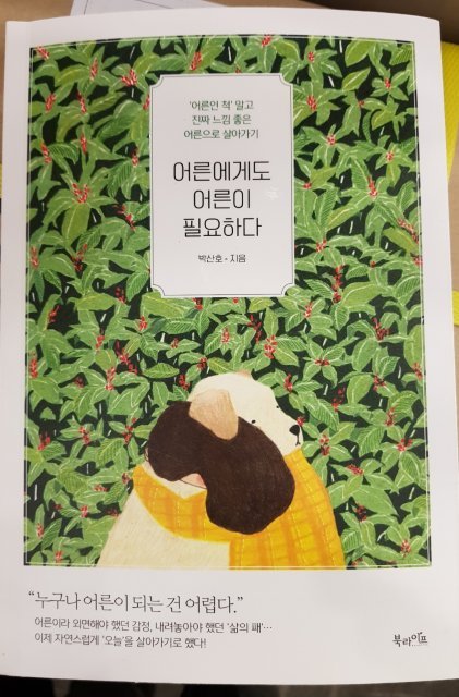 소나기노순학입니다