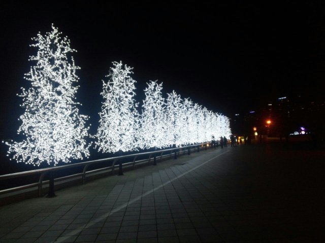 성안 으로 부르삼