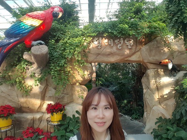 ㄱ정연주IE 희망나무CEO