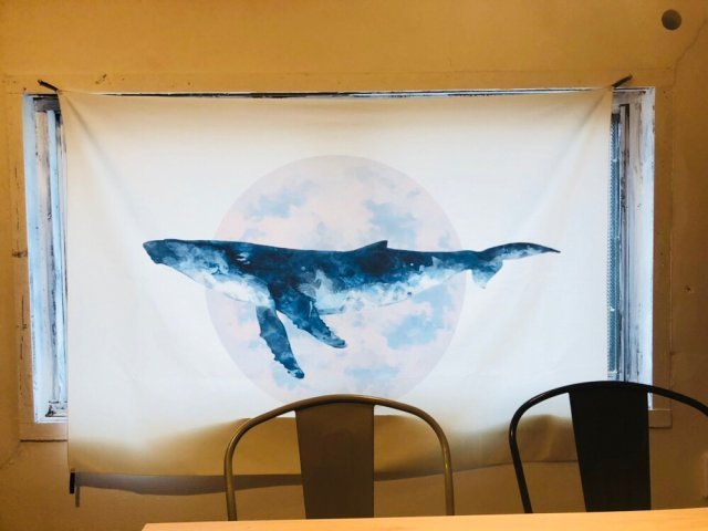 신채린