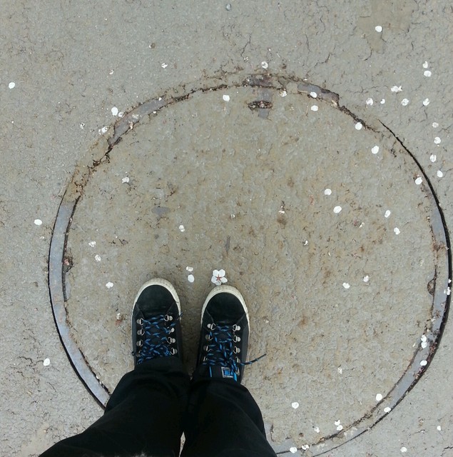 날으는 계란후라이