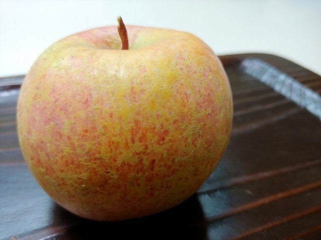 윤창한 안동하늘뫼농원