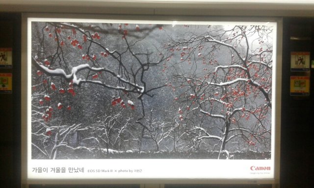 윤지훈